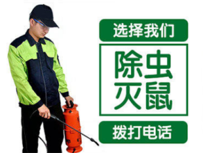 專業(yè)除蟲除蟻上門滅鼠大概多少錢信譽(yù)至上本月特惠中