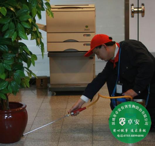 家庭殺蟲滅鼠實(shí)用方法介紹