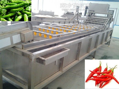 諸城順澤機械 山野菜清洗機多少錢 江門山野菜清洗機圖片