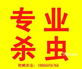 沙井上門殺蟲消毒治白蟻公司 深圳的殺蟲公司上門服務(wù)