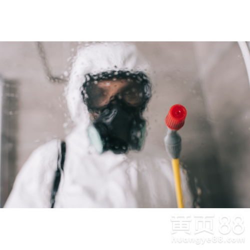 【廊坊殺蟲公司-滅鼠公司-除四害消殺服務(wù)滅蟑螂白蟻防治】- 