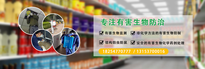 濟寧滅鼠除蟲服務(wù)