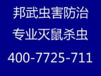 上海專業(yè)滅鼠滅蟑螂滅白蟻滅除跳蚤等害蟲-上海徐匯區(qū)防蟲服務(wù)