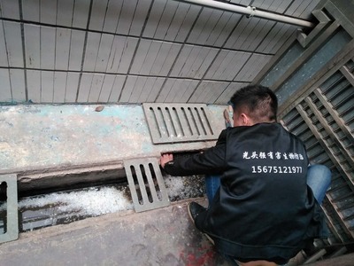 長沙滅鼠防蟲現(xiàn)場|長沙滅鼠公司|長沙滅老鼠_長沙滅蟑螂_長沙白蟻防治
