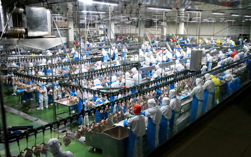工行速度 工行溫度 青島工行金融馳援萊西企業(yè) 工 同抗疫鳳凰網(wǎng)青島