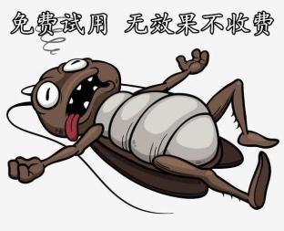 鼎弦滅蟑滅鼠廣州防蟲服務(wù)