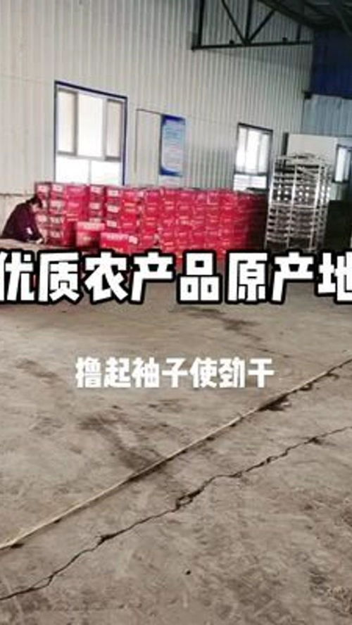 努力做好一個(gè)努力的人 優(yōu)質(zhì)農(nóng)產(chǎn)品 三農(nóng)服務(wù) 熬最深的夜