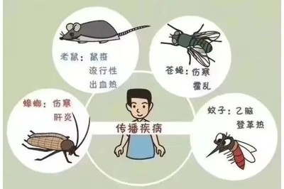 漢中滅老鼠滅蟑螂靠譜誠信質(zhì)量有保證