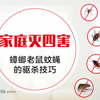 滅老鼠蟑螂殺老鼠殺跳蚤殺螞蟻除蟲除蟻各類蟲濟寧