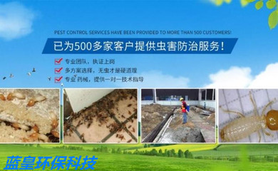 上海快速滅鼠公司怎么收費(fèi),上海滅鼠防蟲服務(wù) 家庭滅鼠