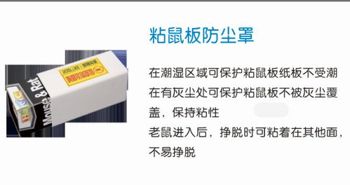 煙臺(tái)澳潔蟲控服務(wù)好 滅鼠公司收費(fèi) 滅鼠公司