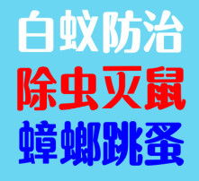 高清圖片