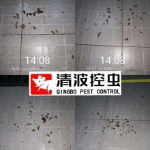 【如何消除工廠老鼠和蟲害、看看清波控蟲是怎樣對(duì)工廠滅鼠滅蟑防蟲的圖片】如何消除工廠老鼠和蟲害、看看清波控蟲是怎樣對(duì)工廠滅鼠滅蟑防蟲的