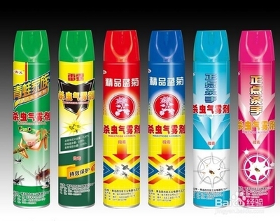怎樣驅(qū)趕消滅墻洞里的老鼠