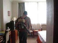 廣州南沙區(qū)防蟲服務(wù)