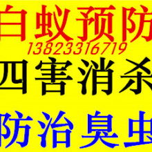  長(zhǎng)沙市白蟻防治殺蟲滅鼠服務(wù)公司 主營(yíng) 長(zhǎng)沙市白蟻防治 長(zhǎng)沙