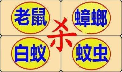 廣元除蟲滅鼠專業(yè)服務(wù)開(kāi)放創(chuàng)新