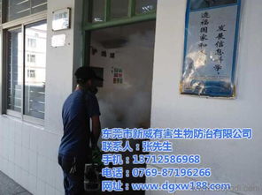 新威生物防治 圖 清溪殺蟲滅鼠服務 殺蟲滅鼠服務