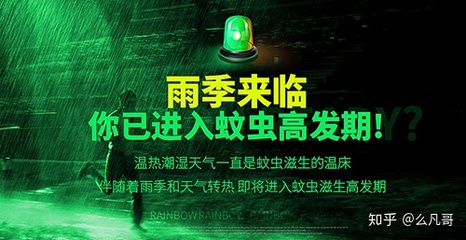 黃埔大沙地滅蚊除蚊