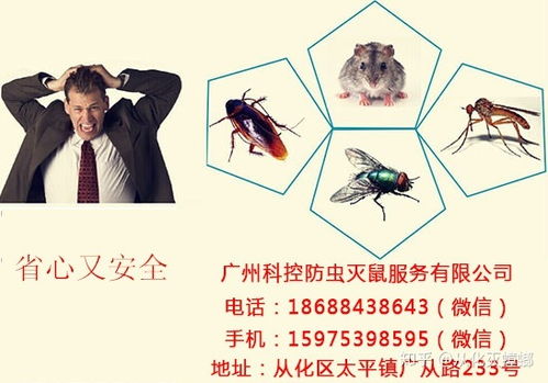 從化滅蟑螂找什么公司幫忙