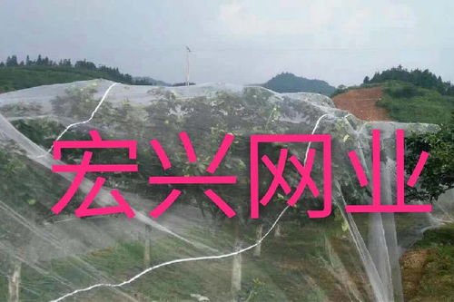 服務(wù)專業(yè)的果樹防蟲網(wǎng)公司推薦,果樹防蟲網(wǎng)行情