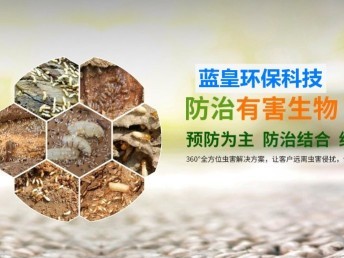 上海上門抓老鼠除四害消殺專業(yè)除蟲防蟲滅鼠滅蟑螂
