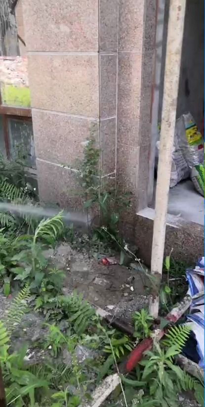 圖 攀枝花白蟻研究所 攀枝花保潔清洗 攀枝花列表網(wǎng)