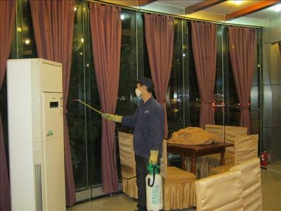 *殺蟲公司積水處理防蟲 仁民滅鼠公司
