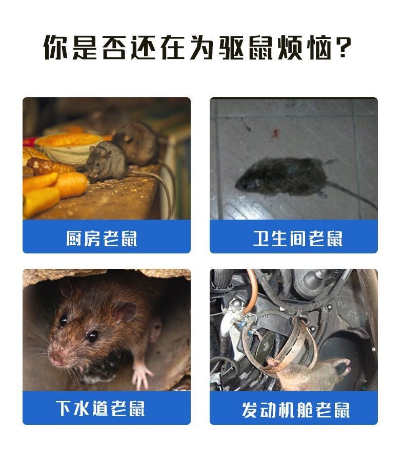 驅(qū)鼠老鼠貼強(qiáng)力滅鼠家用樟腦丸驅(qū)蟲防蟲香味一鍋端貓