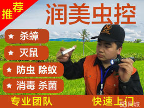 13年經(jīng)驗(yàn)滅蟑螂老鼠除蟲除蟻提供滅跳蚤、滅螞蟻、滅鼠服務(wù)