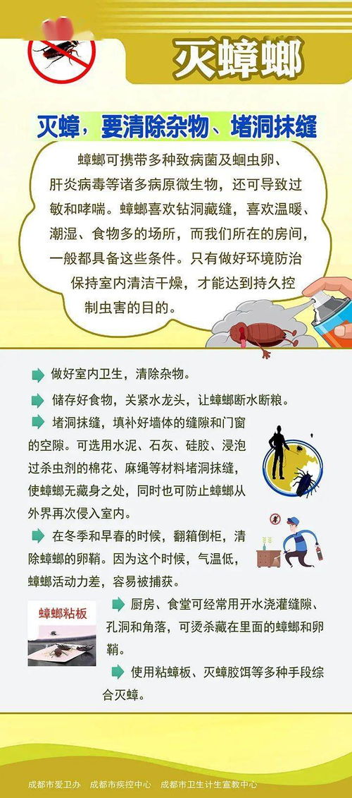 青白江區(qū)開展病媒生物防制專項(xiàng)治理活動(dòng)