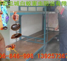 高清圖片