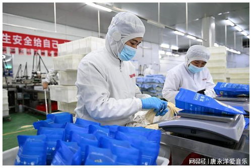河北隆堯 百億食品產(chǎn)業(yè)激活區(qū)域發(fā)展動(dòng)能
