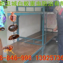  長(zhǎng)沙市白蟻防治殺蟲滅鼠服務(wù)公司 主營(yíng) 長(zhǎng)沙市白蟻防治 長(zhǎng)沙