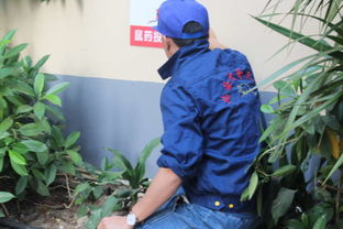 北海代哥蟲(chóng)鼠防治服務(wù),專業(yè)除蟲(chóng)滅鼠
