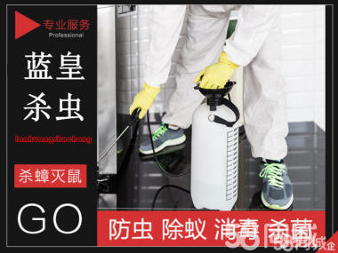 殺蟲(chóng)、老鼠消殺、滅白蟻、滅蒼蠅、除蟲(chóng)除蟻、白蟻防治、優(yōu)質(zhì)服務(wù)