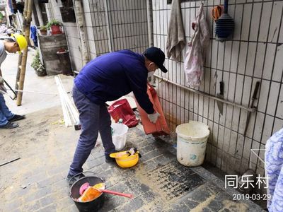 2019年03月29日-深圳市金江有害生物防治工程-南頭街道城中村四害消殺與防治工作作業(yè)圖