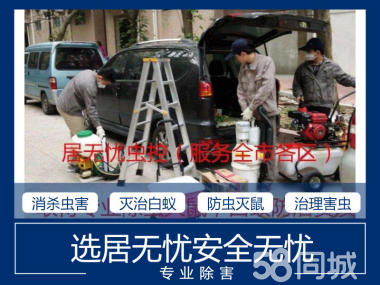 專業(yè)滅臭蟲、家庭滅臭蟲、宿舍滅臭蟲、倉庫滅臭蟲