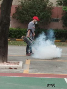 東莞防治白蟻 殺蟲滅鼠找龍科白蟻蟲控 精湛技術(shù)豐厚經(jīng)驗(yàn)