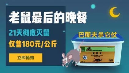 豬場滅鼠屢次失敗,但黃油你用過嗎?這個小技巧或許能幫你大忙!_科技_網(wǎng)