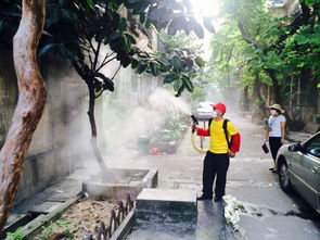 廣州滅鼠滅除蚊蟲番禺海珠服務(wù)公司價格 廣州滅鼠滅除蚊蟲番禺海珠服務(wù)公司型號規(guī)格