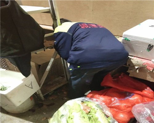 北京平谷廚房滅鼠咨詢服務(wù) 除蟑螂咨詢