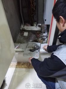 南昌滅鼠滅蟑螂滅白蟻跳蚤殺蟲(chóng)公司專(zhuān)業(yè)四害消殺 南昌其它服務(wù)