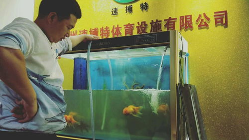 圖 全廣州上門(mén)魚(yú)缸清洗魚(yú)池清洗 魚(yú)缸維修補(bǔ)漏 魚(yú)缸訂做 廣州寵物服務(wù)
