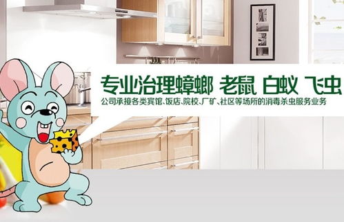 圖 青浦上門抓老鼠服務(wù)好 滅鼠公司優(yōu)惠標(biāo)準(zhǔn) 上海保潔清洗