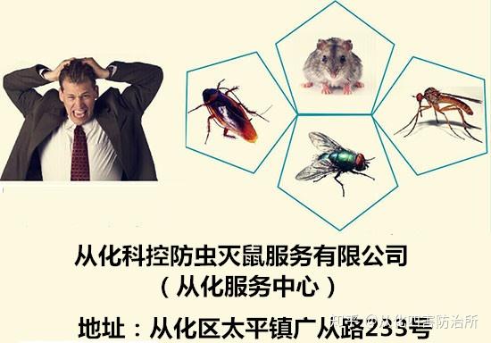 鞏衛(wèi)快訊③:查,整,改!九江開展鞏固國家衛(wèi)生鎮(zhèn)專項行動_檢查