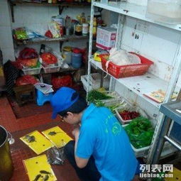 專業(yè)滅鼠滅蟑滅跳蚤,您值得托付的蟲害控制服務(wù)商