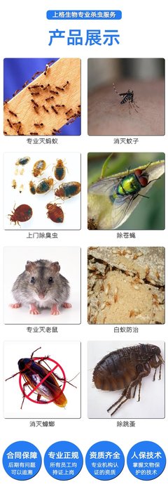 上海消滅老鼠公司怎么收費(fèi)?上海滅鼠防蟲(chóng)服務(wù)