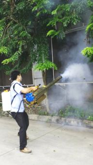 東莞道滘?qū)I(yè)殺蟲滅鼠公司服務(wù)報(bào)價(jià)