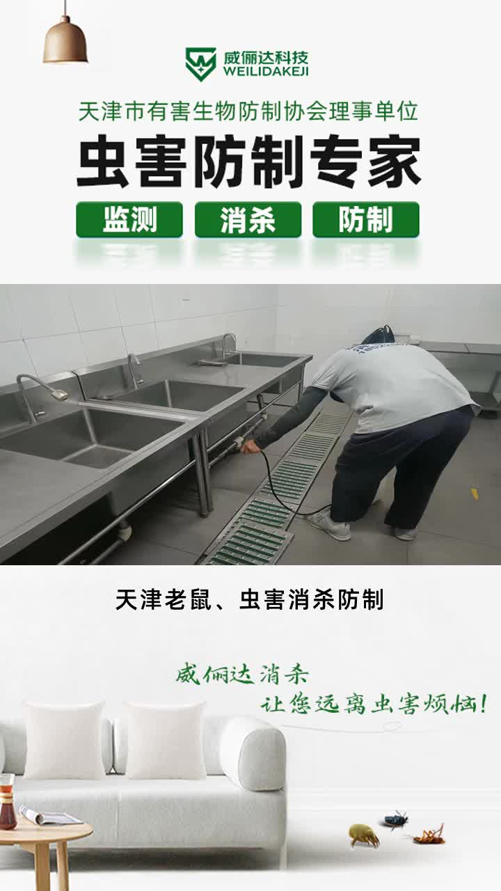 天津滅鼠妙招,就找威儷達(dá),我公司主要服務(wù)于廚房滅蟑,食堂滅蟑,蟲(chóng)害